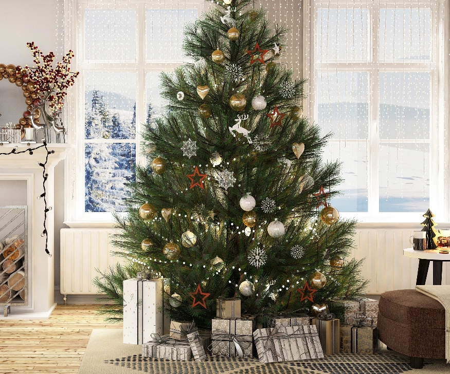Christmas Trees Christmas Trees