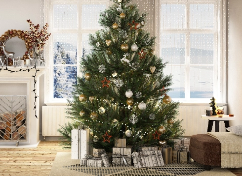christmas-trees Christmas Trees