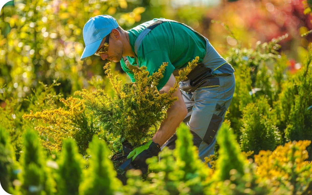 Planting Services Planting Services