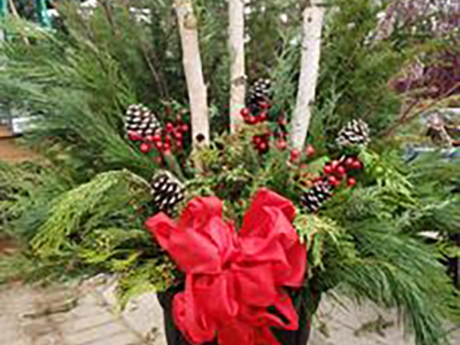 Outdoor Christmas Containers Outdoor Christmas Containers